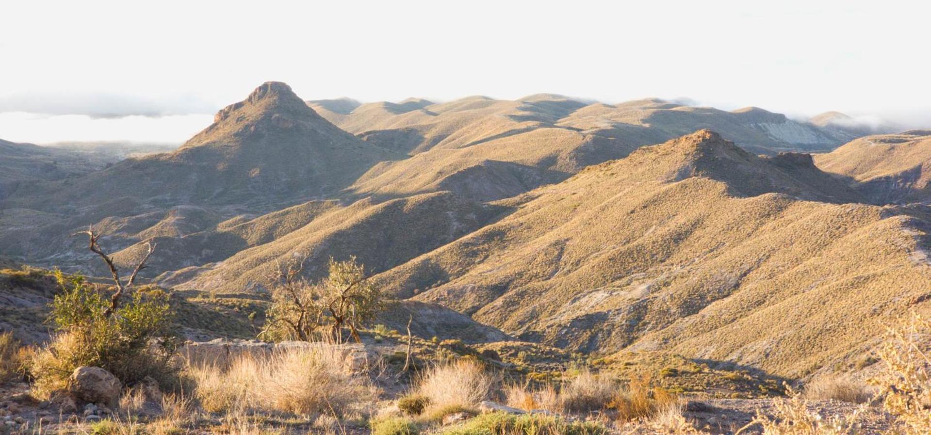 Cortijo El Albaricoque De La Sierra - Finca De 75 Hectareas ! Níjar エクステリア 写真