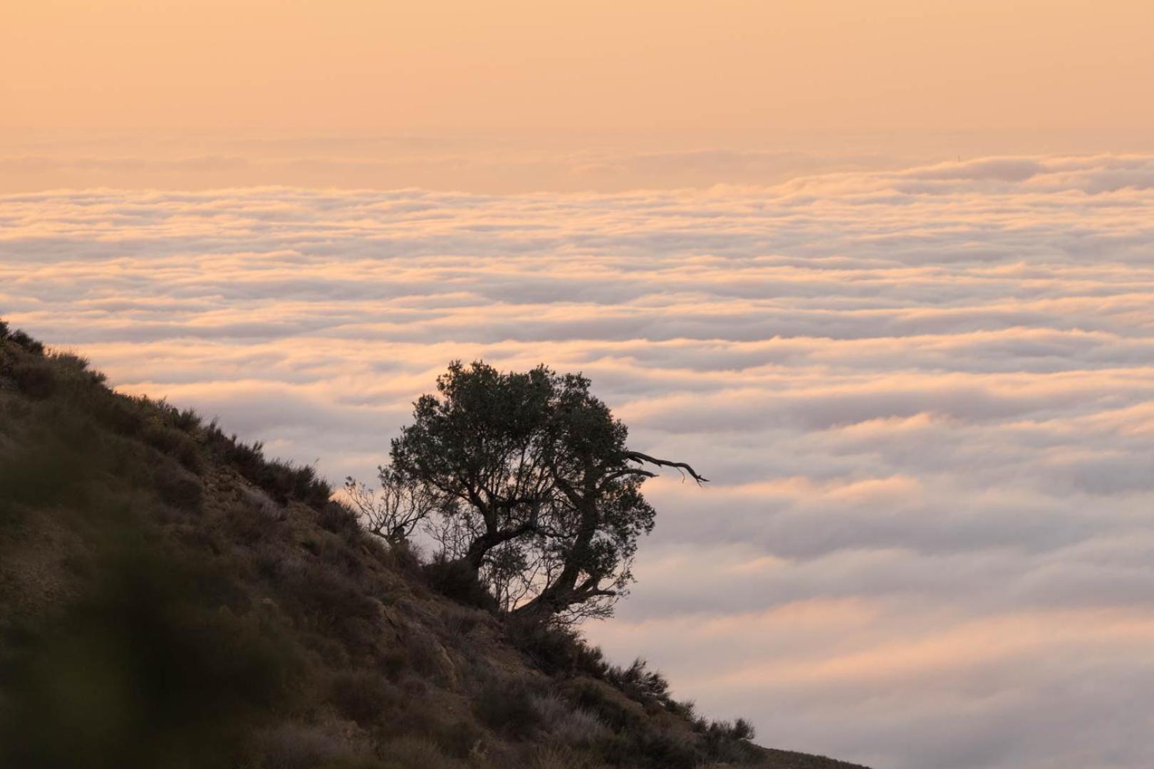 Cortijo El Albaricoque De La Sierra - Finca De 75 Hectareas ! Níjar エクステリア 写真